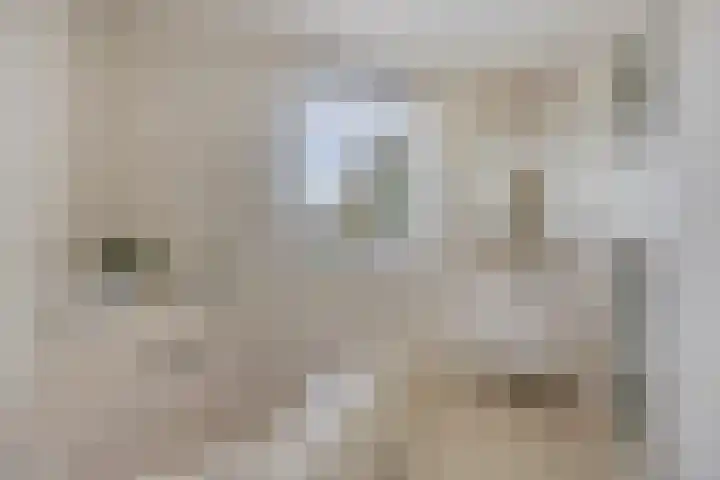De Parelvissers 53 Kampen thumbnail 31