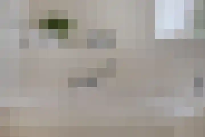 De Parelvissers 53 Kampen thumbnail 32