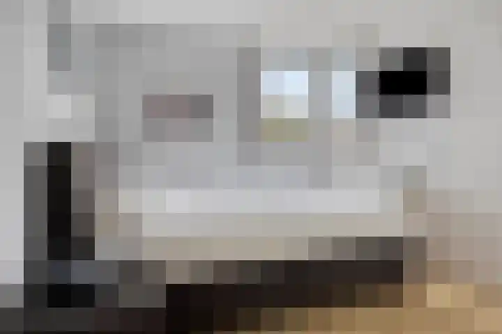 De Parelvissers 53 Kampen thumbnail 34