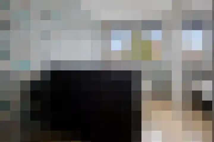 De Parelvissers 53 Kampen thumbnail 35