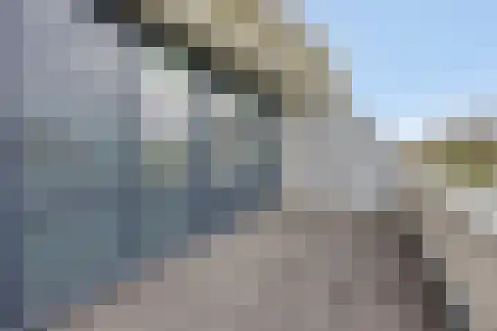 De Parelvissers 53 Kampen thumbnail 41
