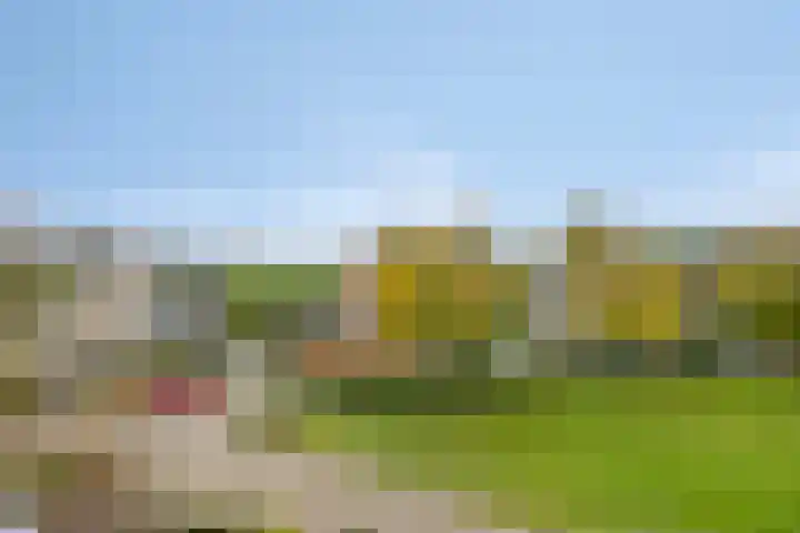 De Parelvissers 53 Kampen thumbnail 44