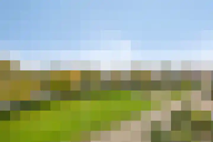 De Parelvissers 53 Kampen thumbnail 45