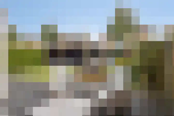 De Parelvissers 53 Kampen thumbnail 46
