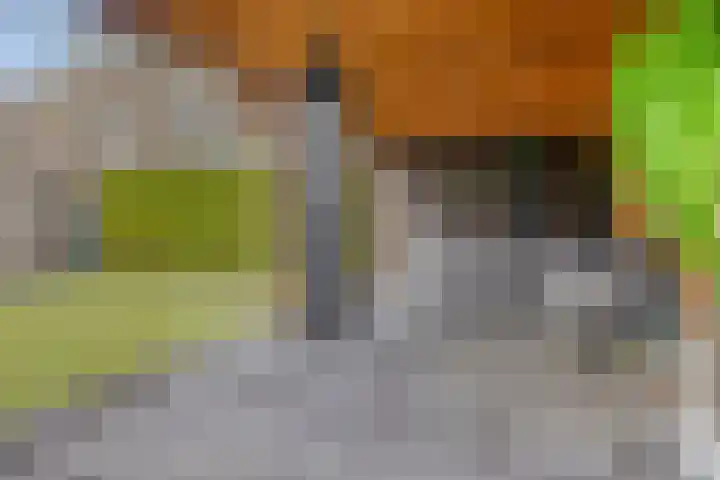 De Parelvissers 53 Kampen thumbnail 48