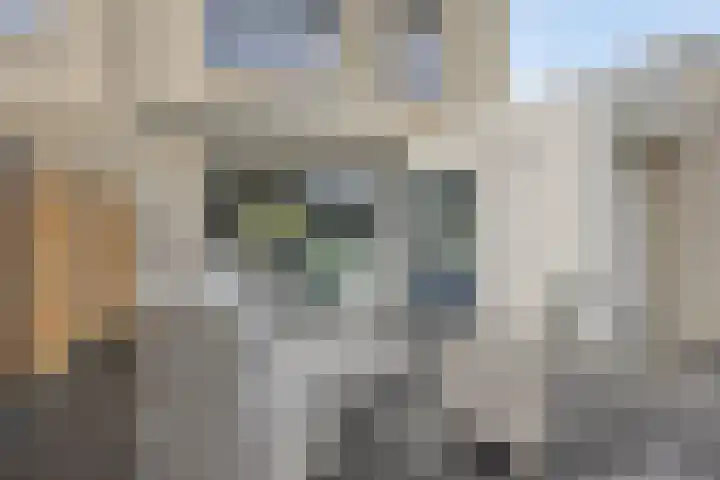 De Parelvissers 53 Kampen thumbnail 50