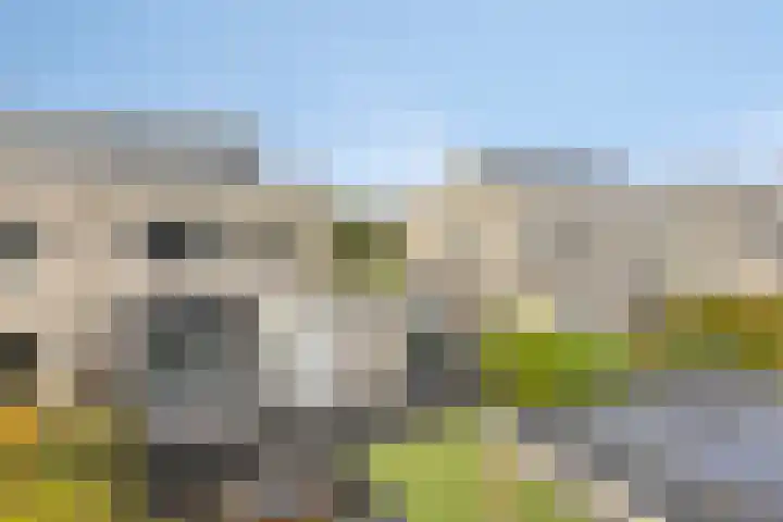 De Parelvissers 53 Kampen thumbnail 51
