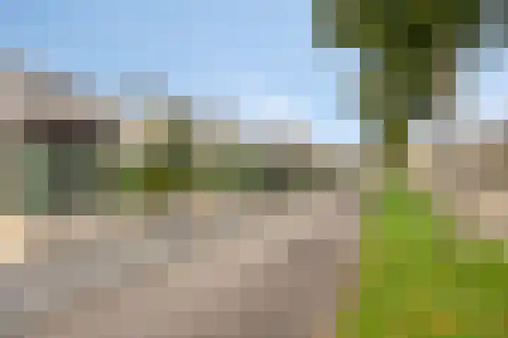 De Parelvissers 53 Kampen thumbnail 52