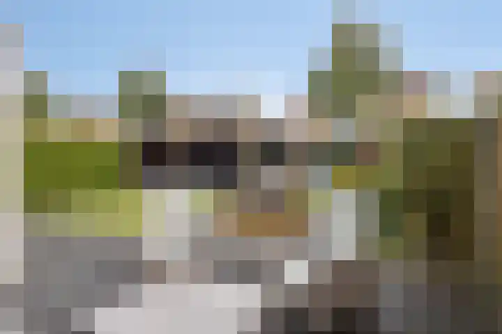 De Parelvissers 53 Kampen thumbnail 6