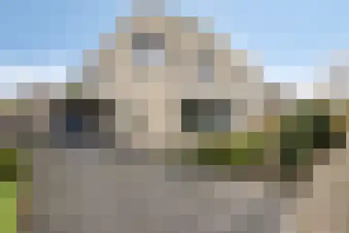 De Parelvissers 53 Kampen thumbnail 8