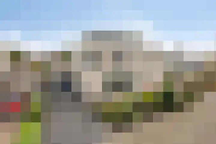 De Parelvissers 53 Kampen thumbnail 9