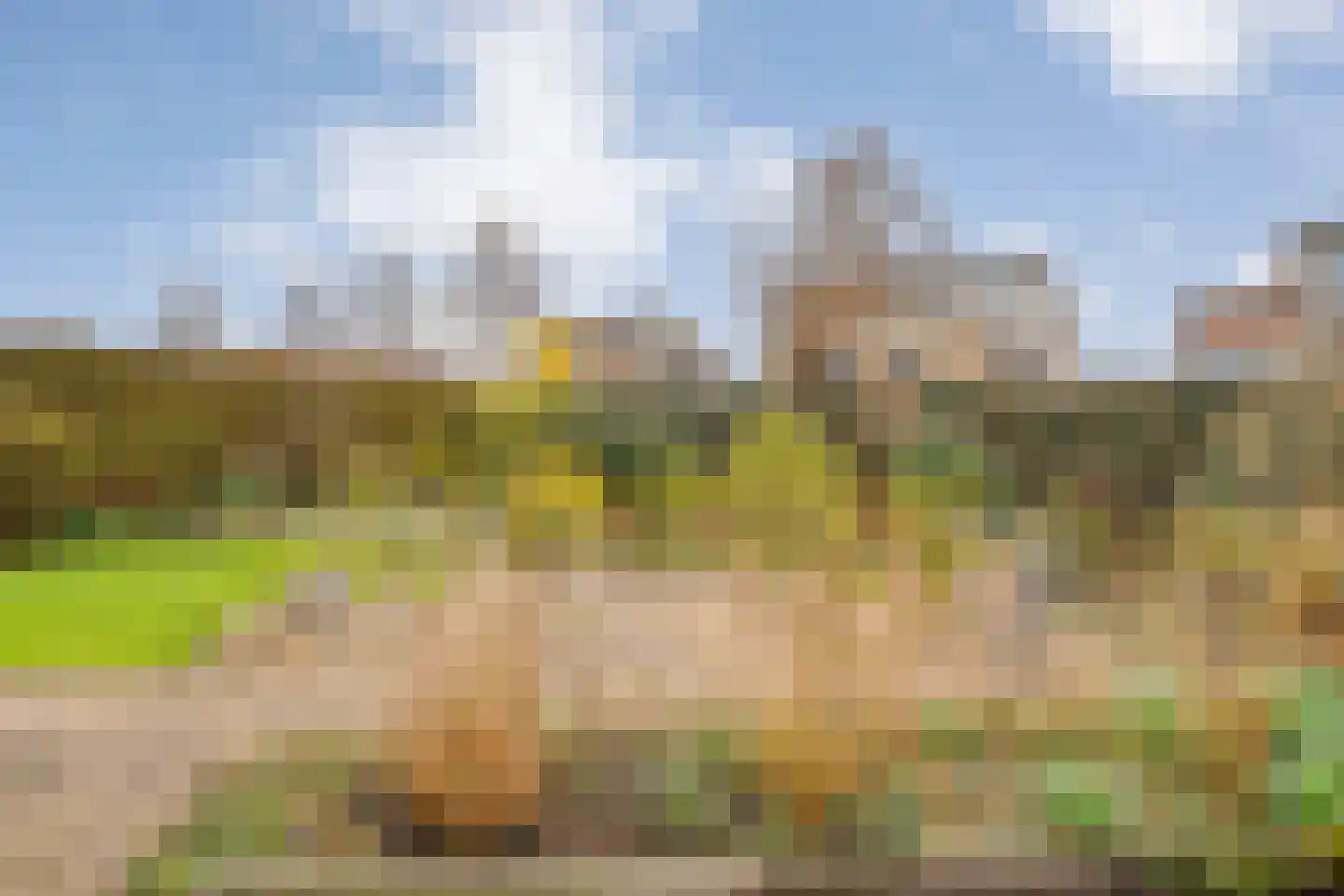 De Parelvissers 55 Kampen thumbnail 47