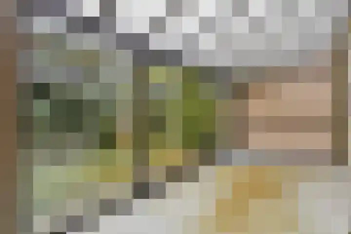 De Parelvisserslaan 104 Amstelveen thumbnail 13