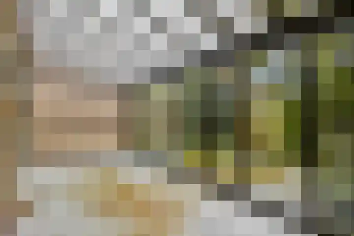 De Parelvisserslaan 104 Amstelveen thumbnail 14