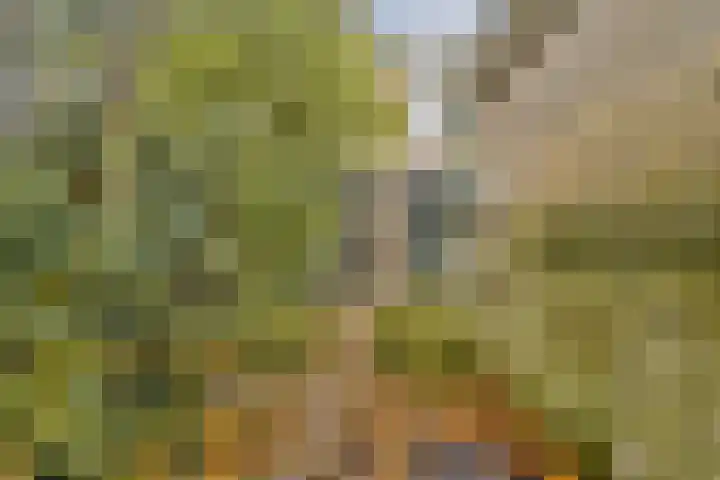 De Parelvisserslaan 104 Amstelveen thumbnail 29