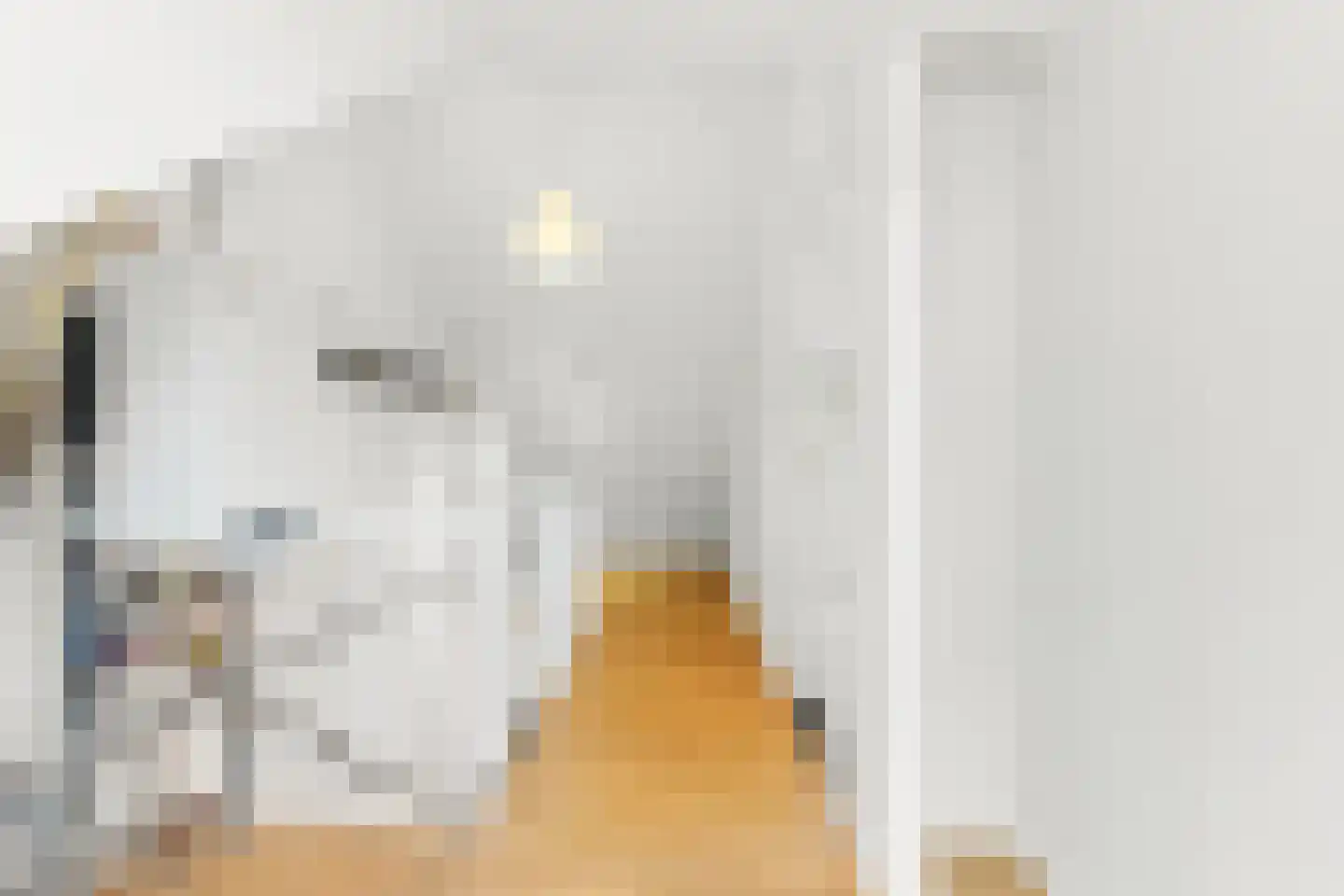 De Parelvisserslaan 104 Amstelveen thumbnail 31