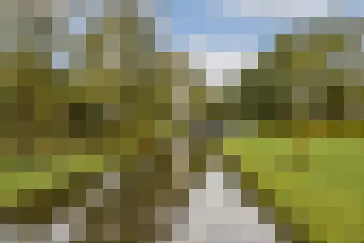 De Parelvisserslaan 104 Amstelveen thumbnail 33