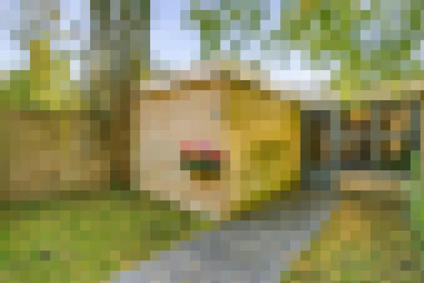 De Parelvisserslaan 104 Amstelveen thumbnail 38