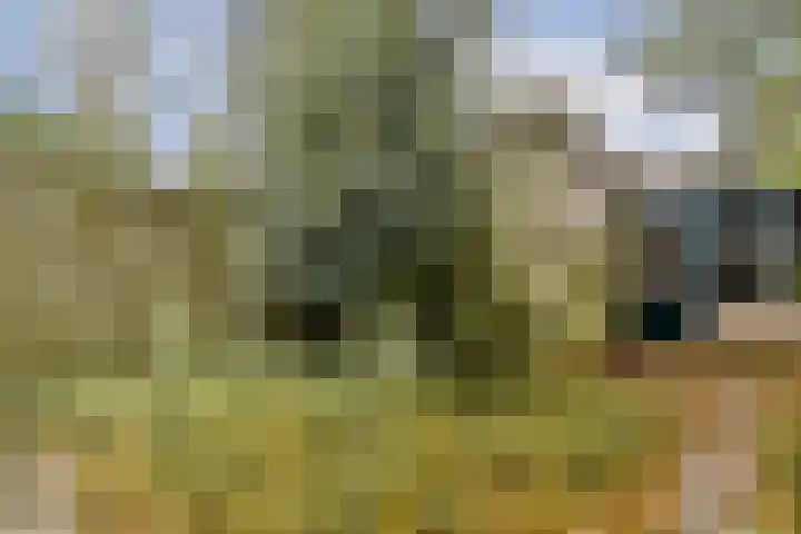De Parelvisserslaan 104 Amstelveen thumbnail 4