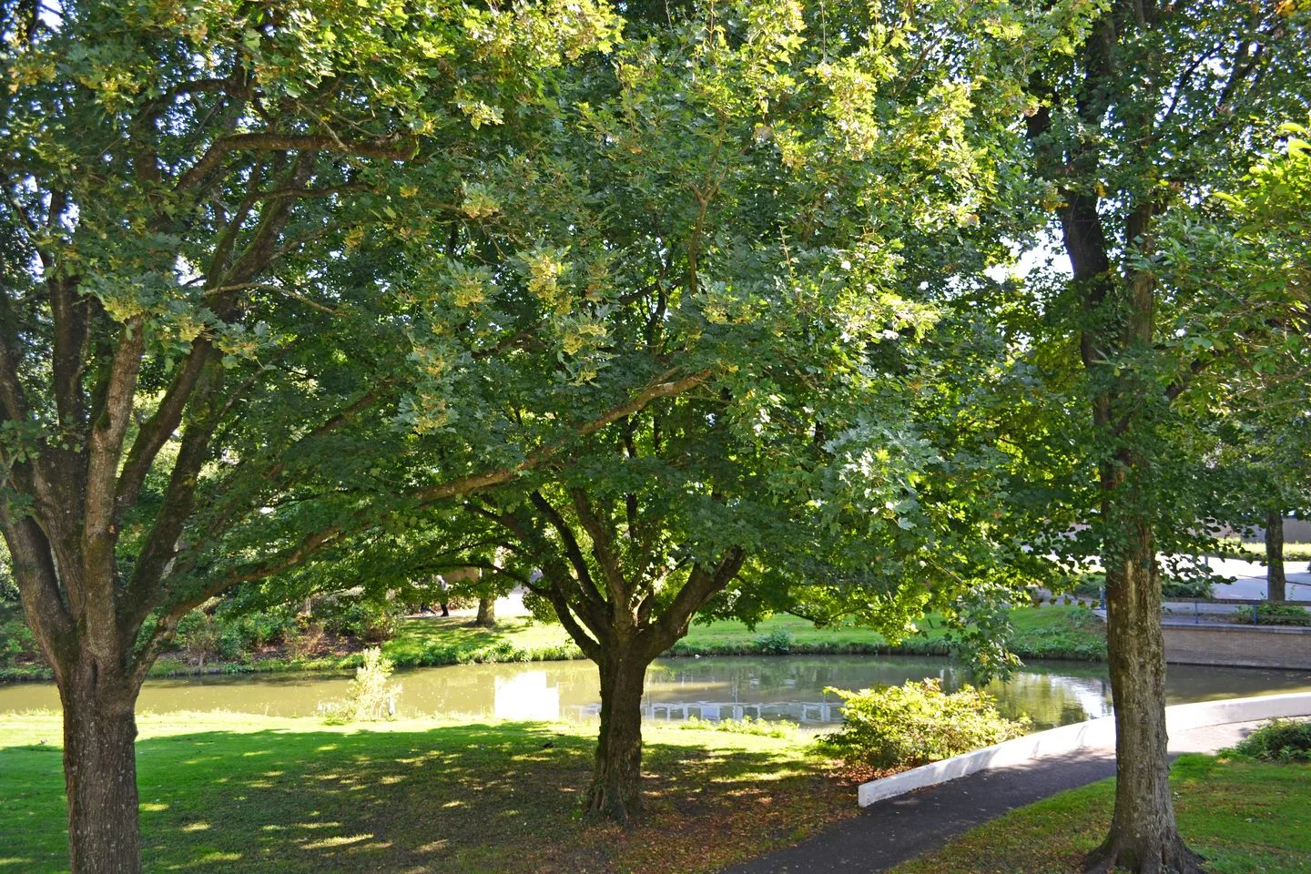 De Parelvisserslaan 114 Amstelveen thumbnail 50