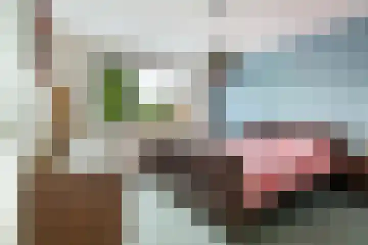 De Parkelaar 6 Ugchelen thumbnail 12