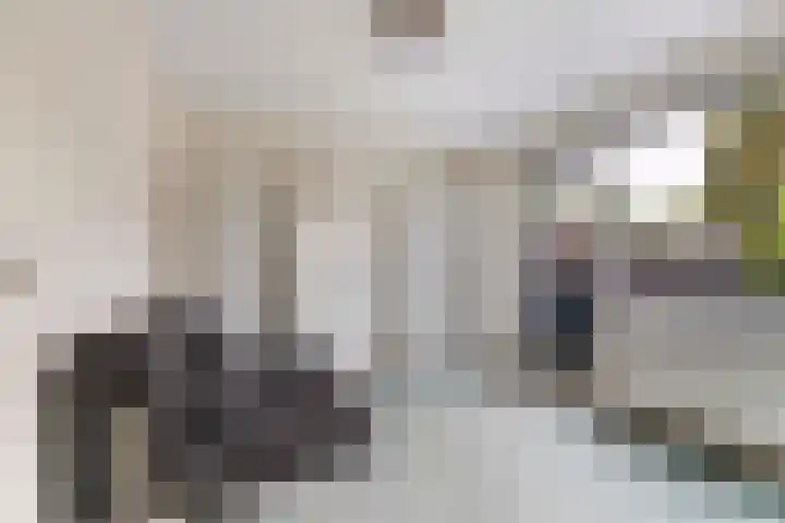 De Parkelaar 6 Ugchelen thumbnail 14