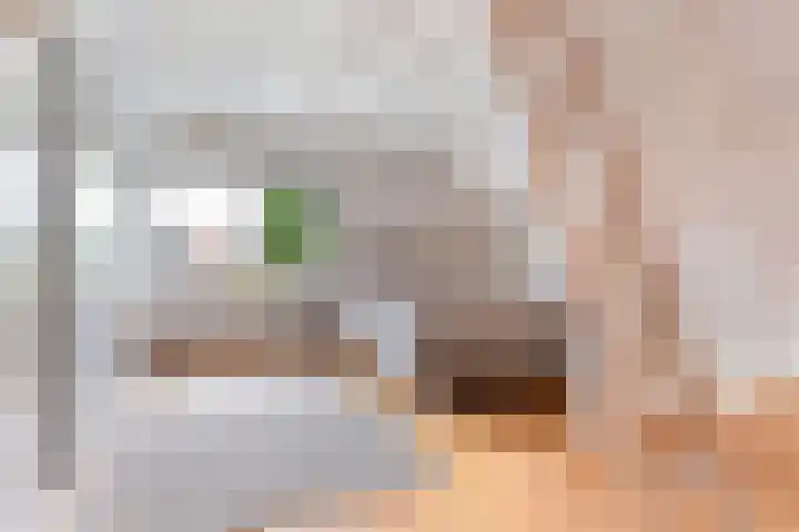 De Parkelaar 6 Ugchelen thumbnail 18