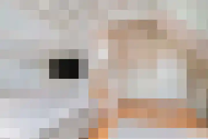 De Parkelaar 6 Ugchelen thumbnail 19
