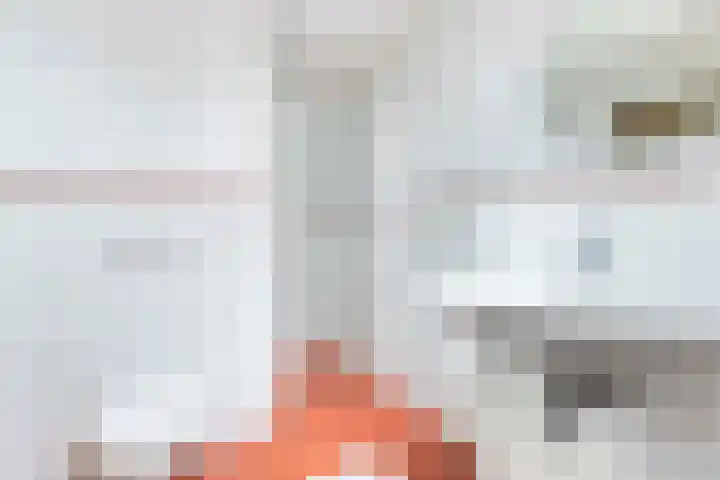 De Parkelaar 6 Ugchelen thumbnail 22