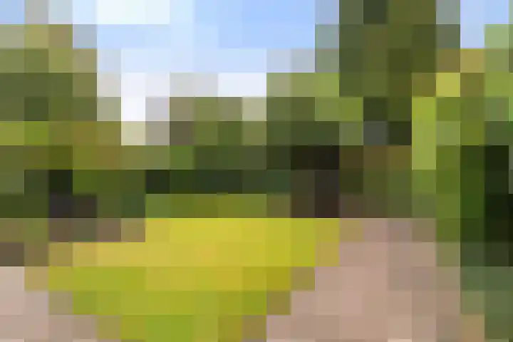 De Parkelaar 6 Ugchelen thumbnail 25