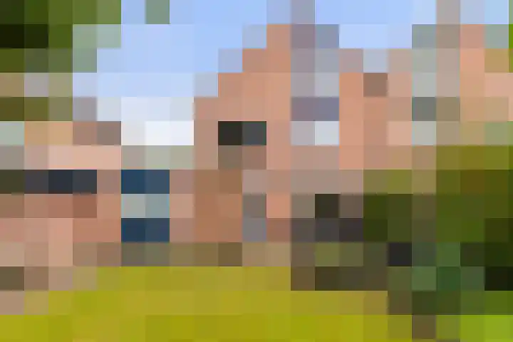 De Parkelaar 6 Ugchelen thumbnail 27