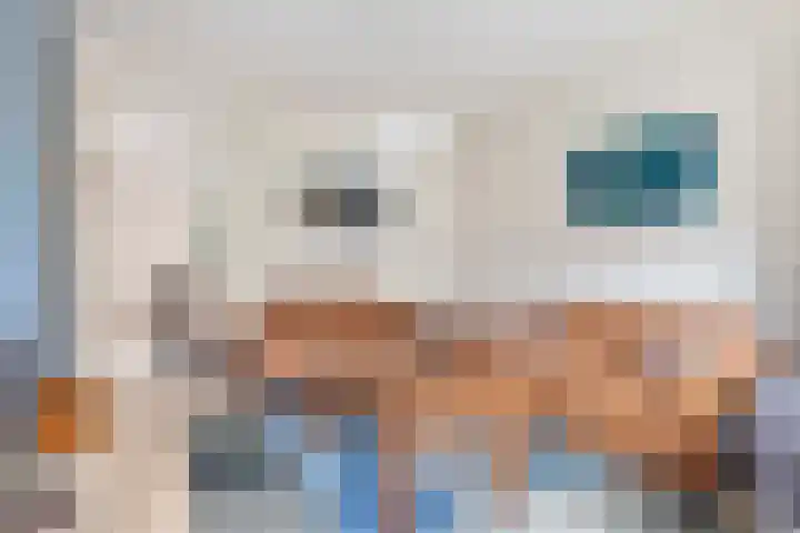 De Parkelaar 6 Ugchelen thumbnail 4