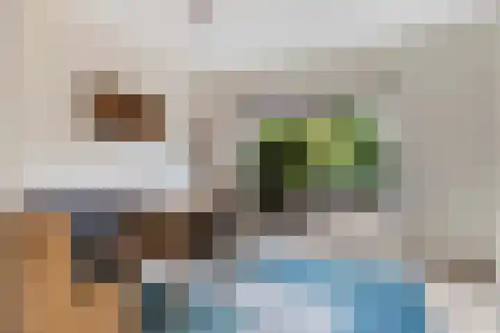 De Parkelaar 6 Ugchelen thumbnail 7