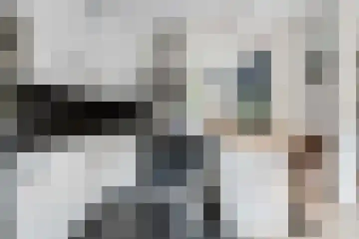 De Parkelaar 6 Ugchelen thumbnail 9