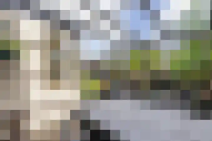 De Parken 13 Drachten thumbnail 15