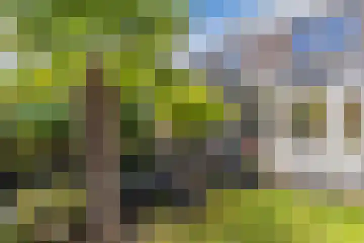 De Parken 13 Drachten thumbnail 17