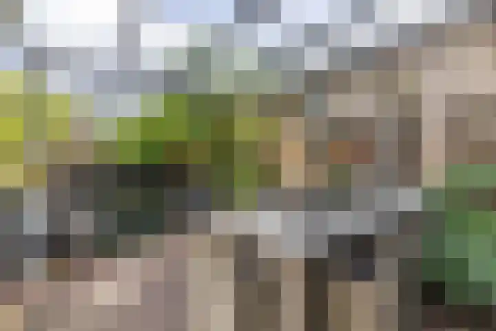 De Parken 13 Drachten thumbnail 18