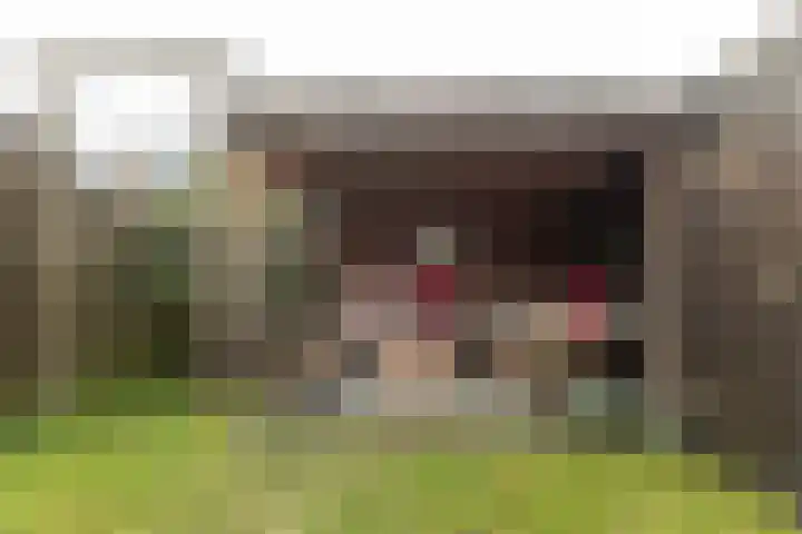 De Parken 18 Drachten thumbnail 32