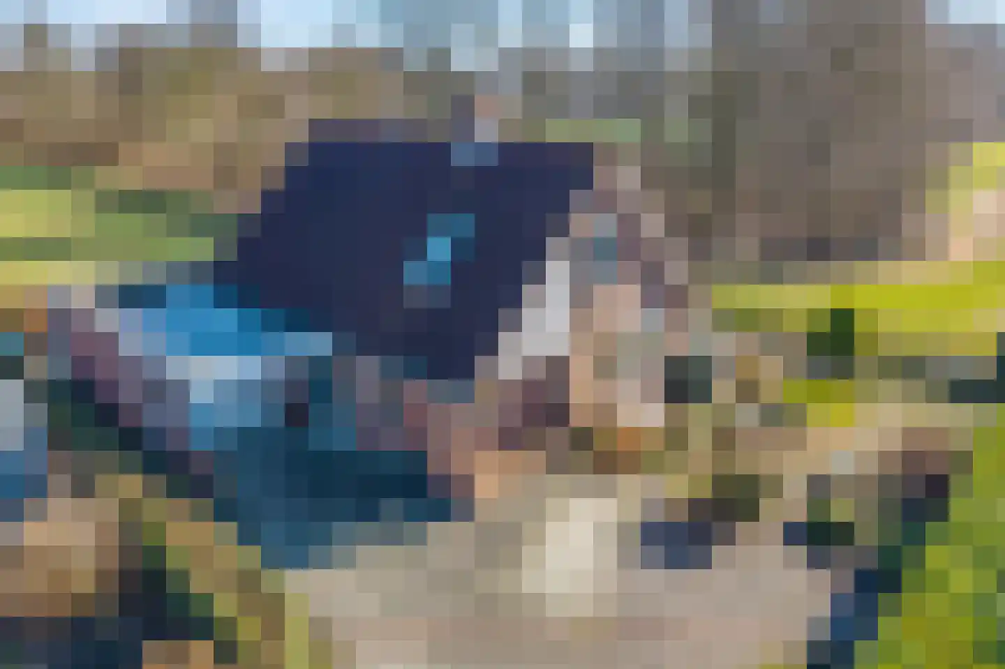 De Parnassia 6 Zwartsluis thumbnail 14
