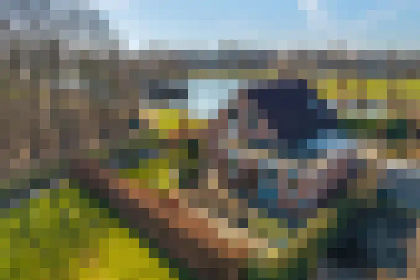 De Parnassia 6 Zwartsluis thumbnail 16