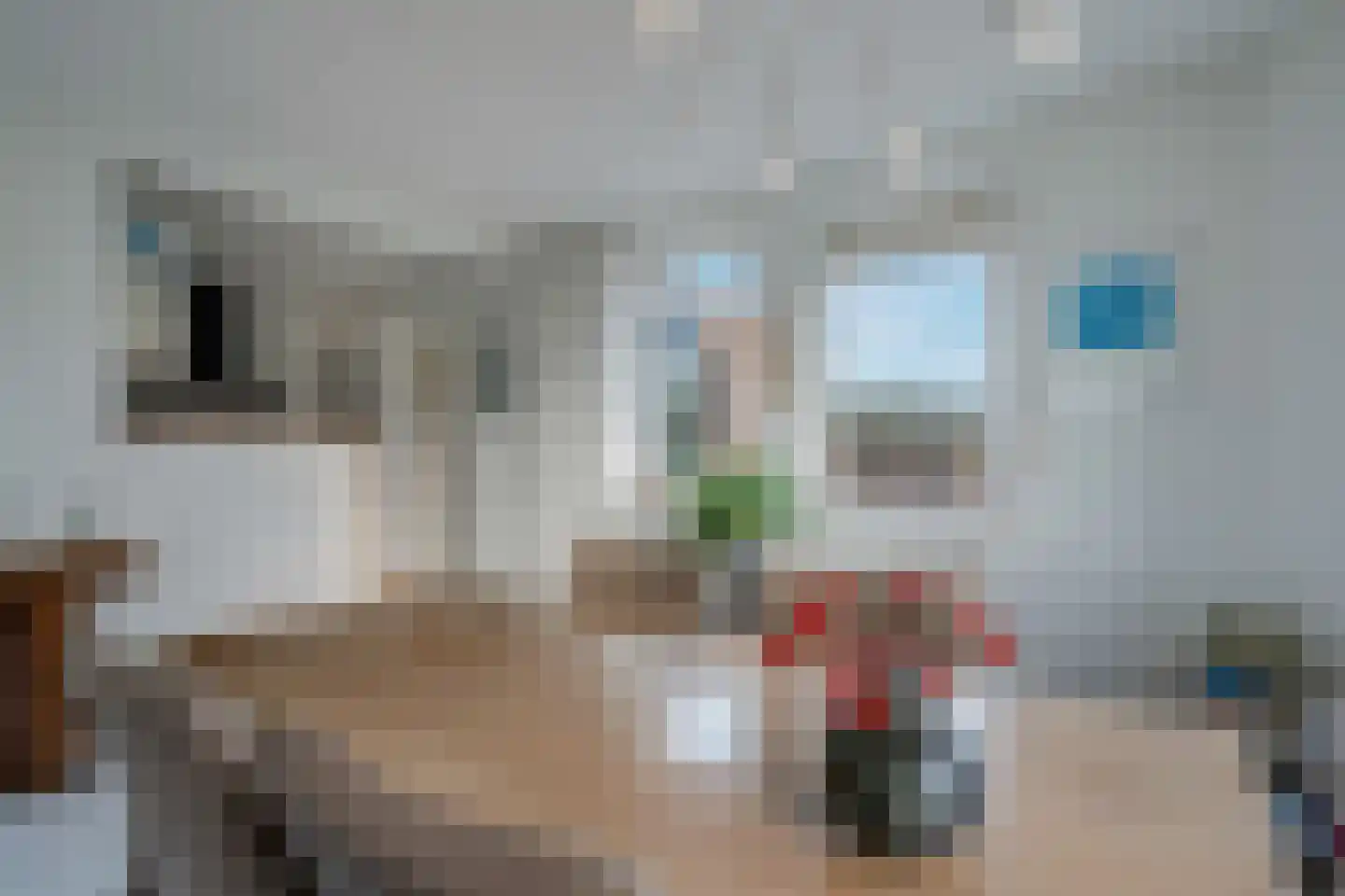 De Parnassia 6 Zwartsluis thumbnail 40