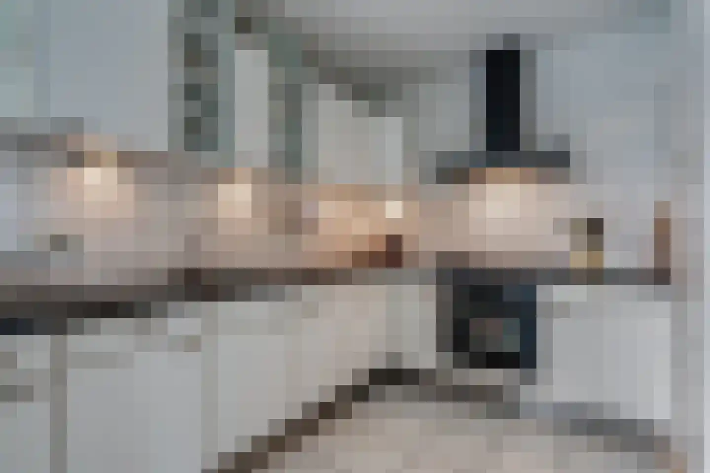 De Parnassia 6 Zwartsluis thumbnail 42