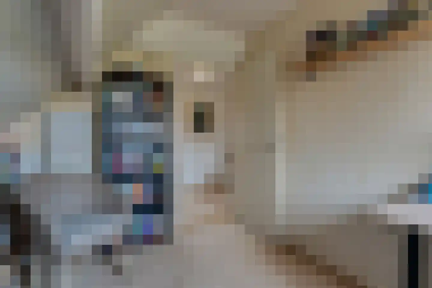 De Parnassia 6 Zwartsluis thumbnail 55