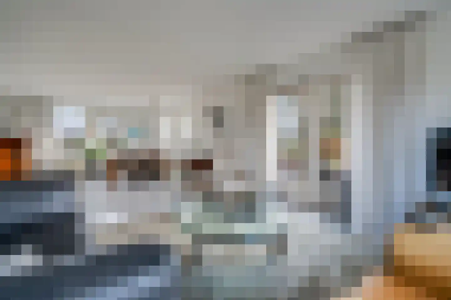 De Parnassia 6 Zwartsluis thumbnail 6