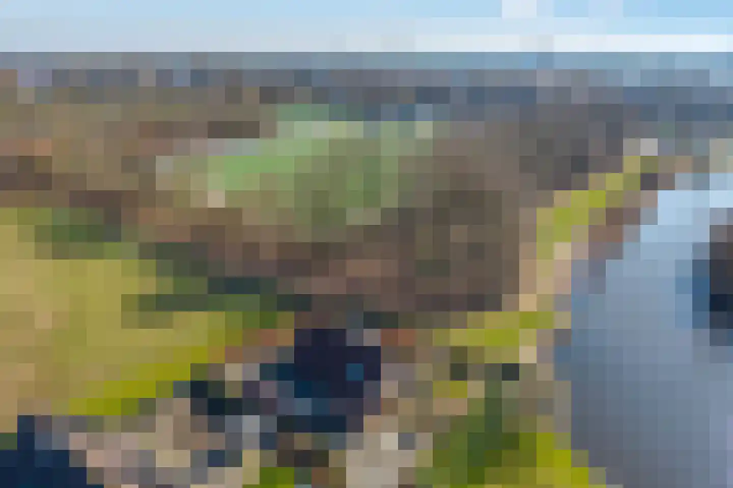 De Parnassia 6 Zwartsluis thumbnail 61