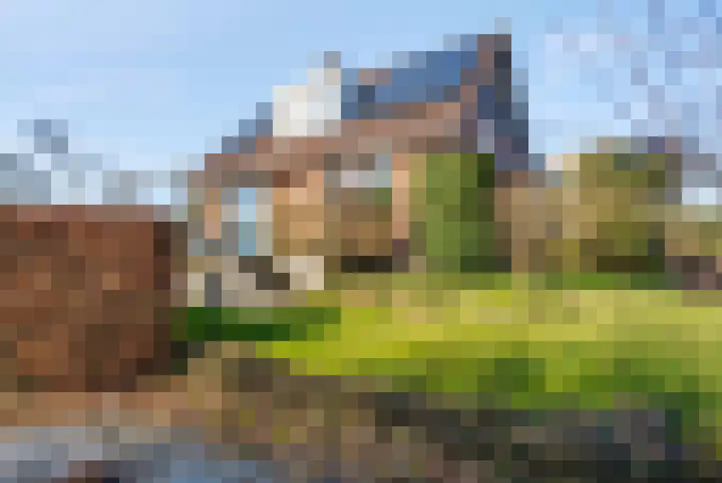 De Parnassia 6 Zwartsluis thumbnail 8