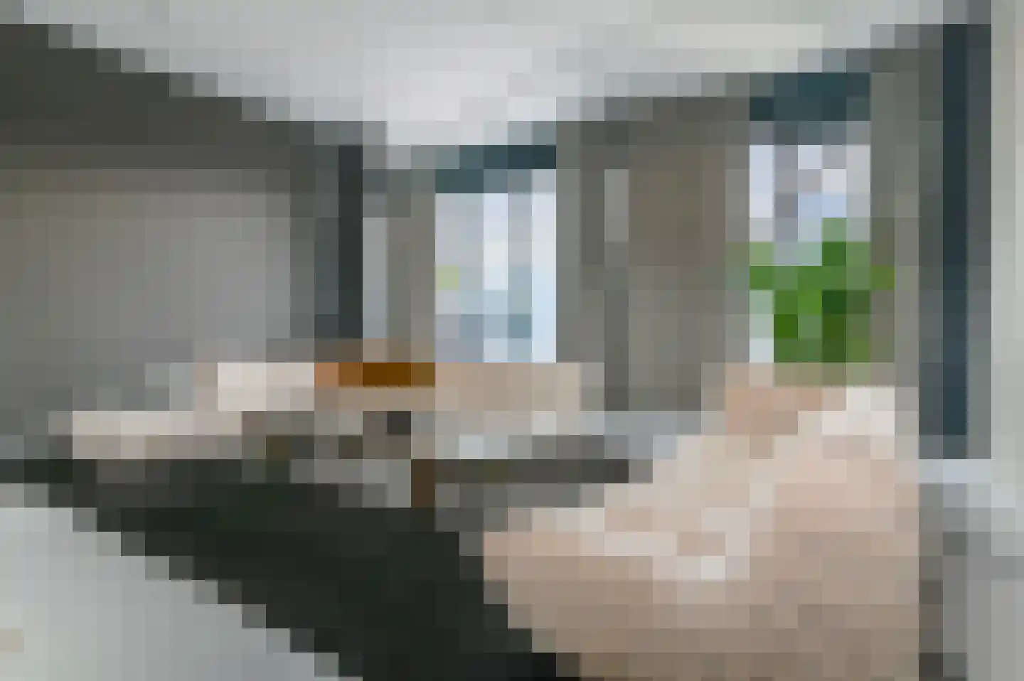 De Parse 4 Akkrum thumbnail 11