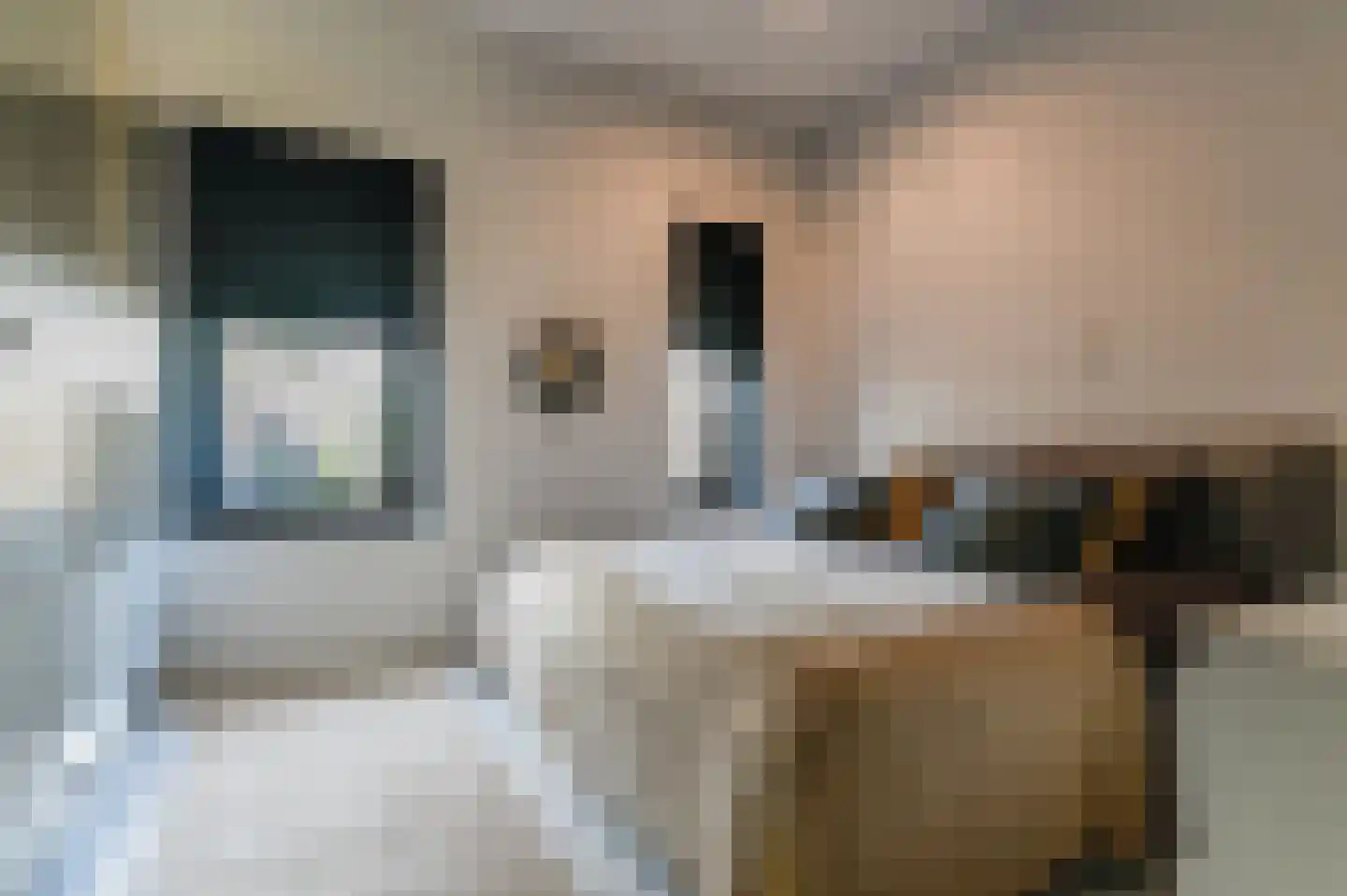 De Parse 4 Akkrum thumbnail 16