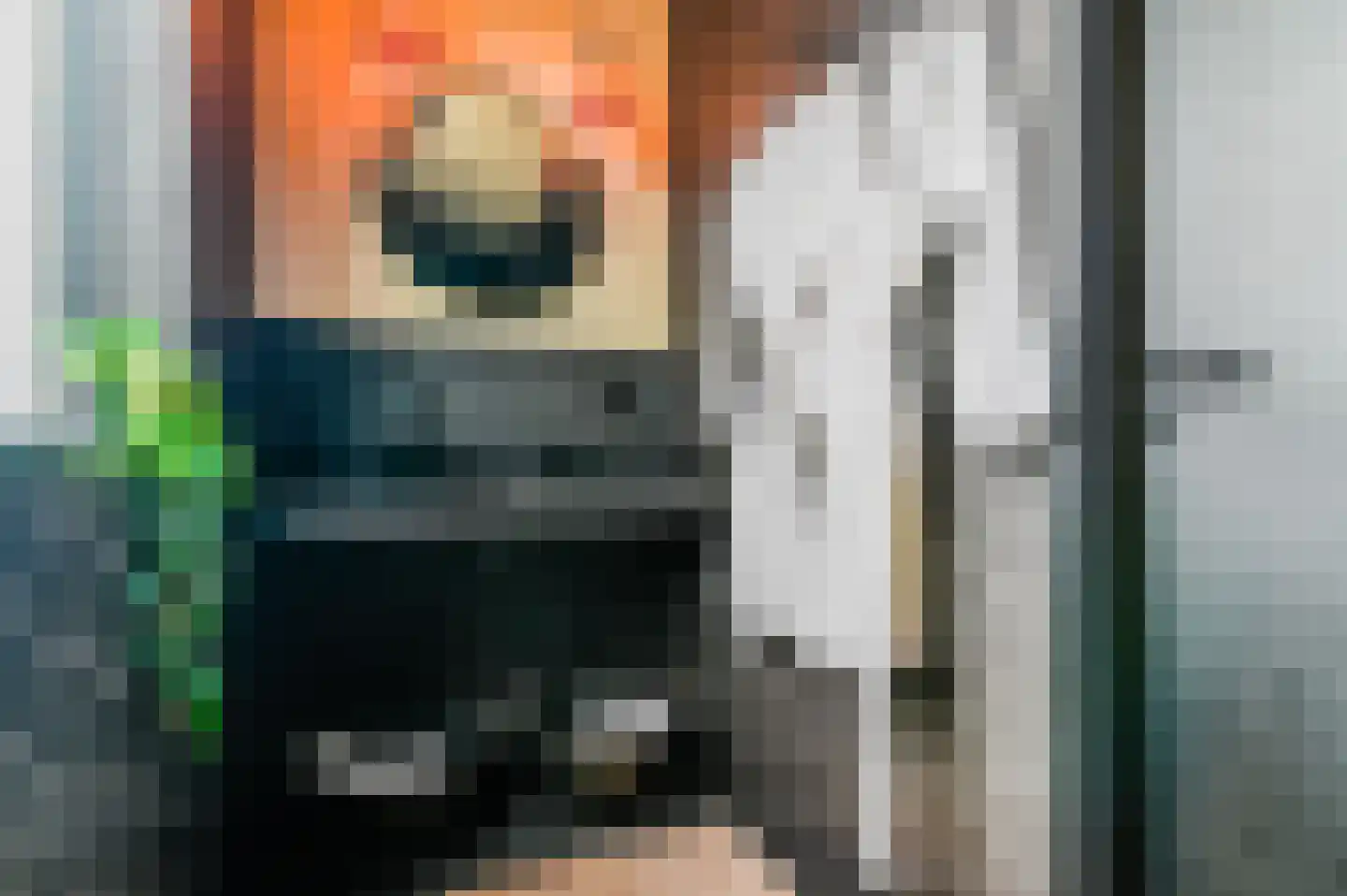 De Parse 4 Akkrum thumbnail 37