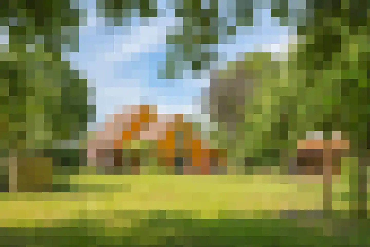 de Pas 13 Doornenburg